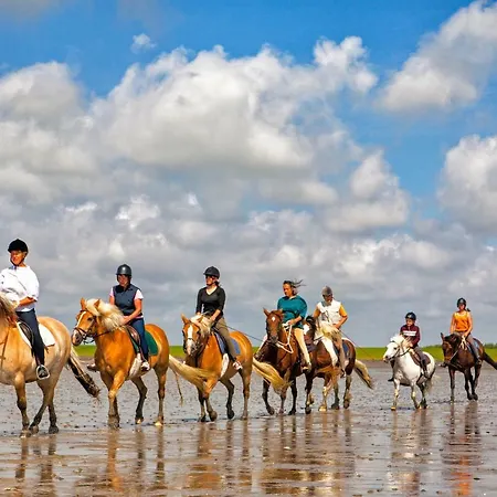 Gud Jard Nr 36 - Design-ferienhaus Mit Exklusiver Ausstattung * Pellworm