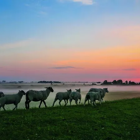 Gud Jard Nr 36 - Design-ferienhaus Mit Exklusiver Ausstattung Pellworm