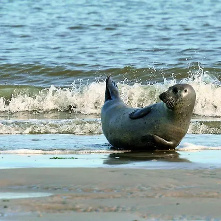Gud Jard Nr 36 - Design-ferienhaus Mit Exklusiver Ausstattung
